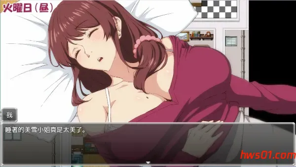 夺取兄嫂 ～屈服于我胁迫的义姐之秘密～ 官方中文版 RPG游戏 397M