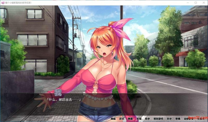 整个小镇都是我的后宫！（License to Breed） steam官方中文版 ADV游戏 2G