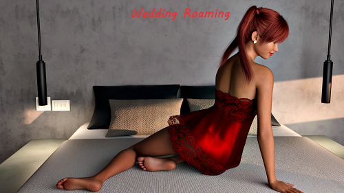 婚礼漫游[Wedding Roaming]v0.6 AI汉化版 PC+安卓 欧美SLG 0.74G-嗨玩社