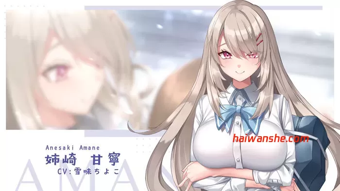 年上彼女 v1.0 精翻汉化版 ADV游戏+特典+存档+全CV 1.7G