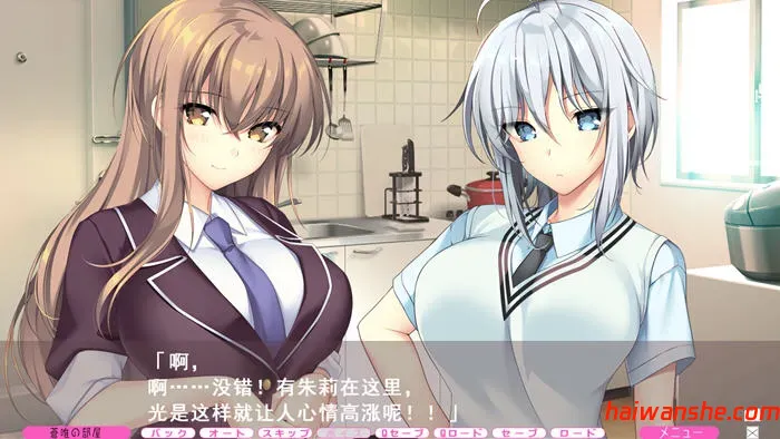 隔壁的爱 AI汉化版 ADV游戏+全CG存档 7.5G